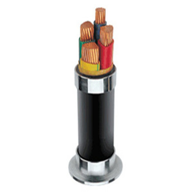 Concentric conductor cable