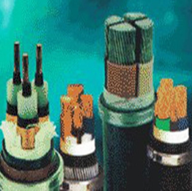Fluoroplastics high temperature resistant power cable